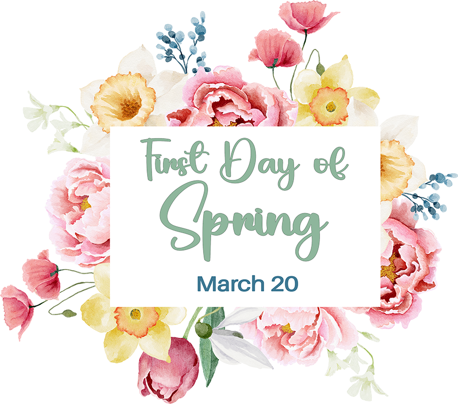 MN-CF-Spring image
