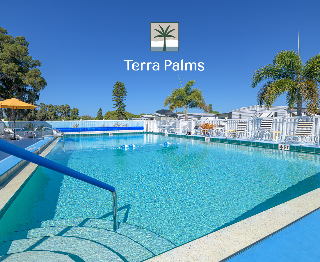 terra-palms-feature-image